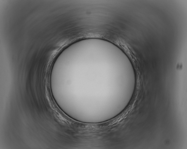 X0000091000145200708021232