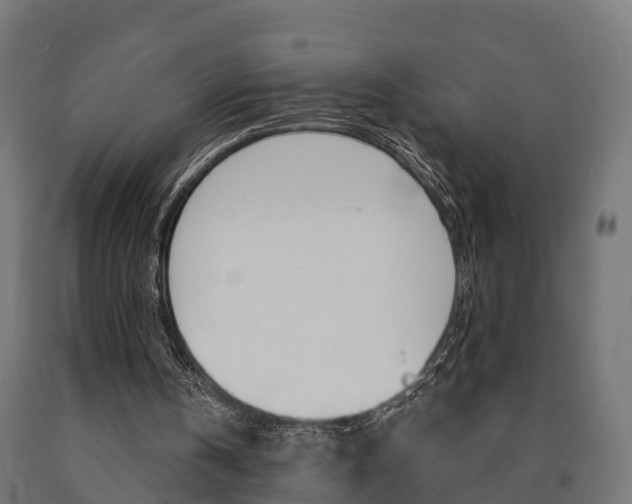 X0000091000146200708021232
