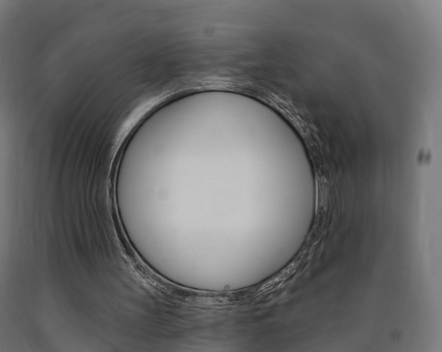 X0000091000147200708021232