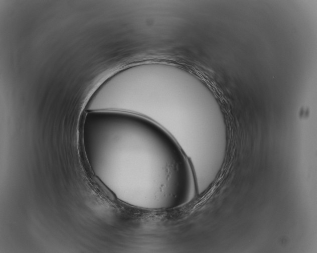 X0000091000148200708021232