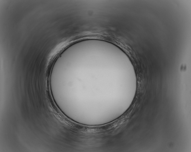 X0000091000149200708021232