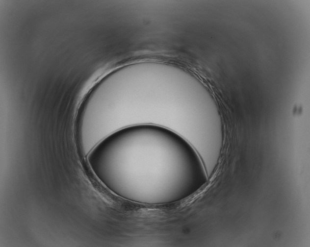 X0000091000150200708021232