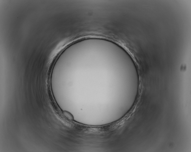 X0000091000151200708021232