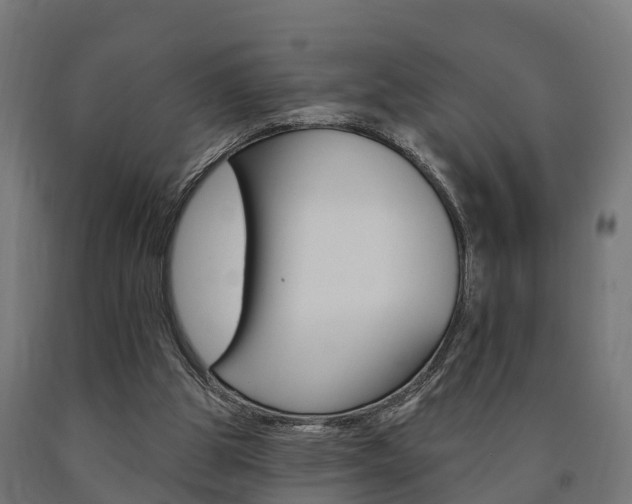 X0000091000153200708021232