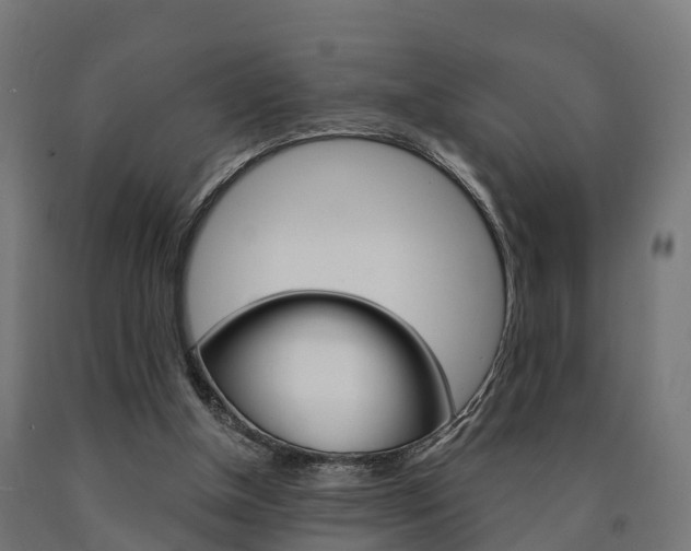 X0000091000154200708021232