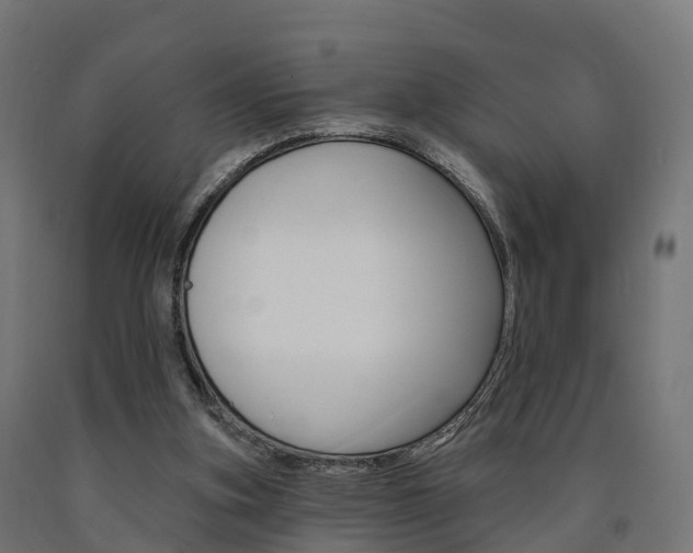 X0000091000155200708021232