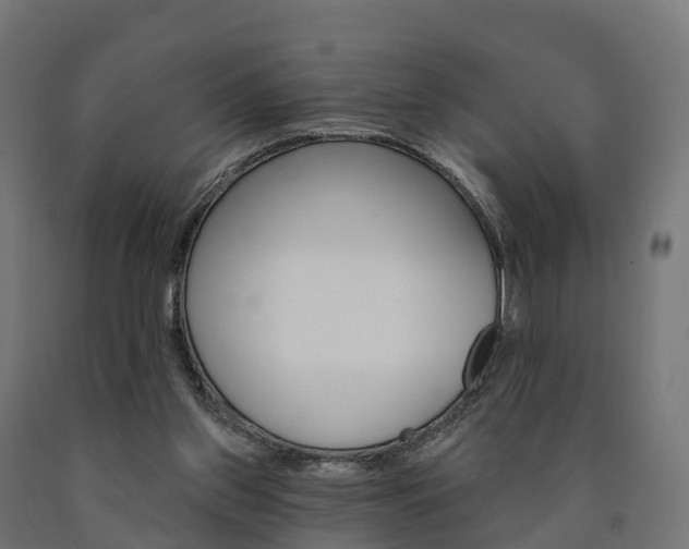 X0000091000157200708021232