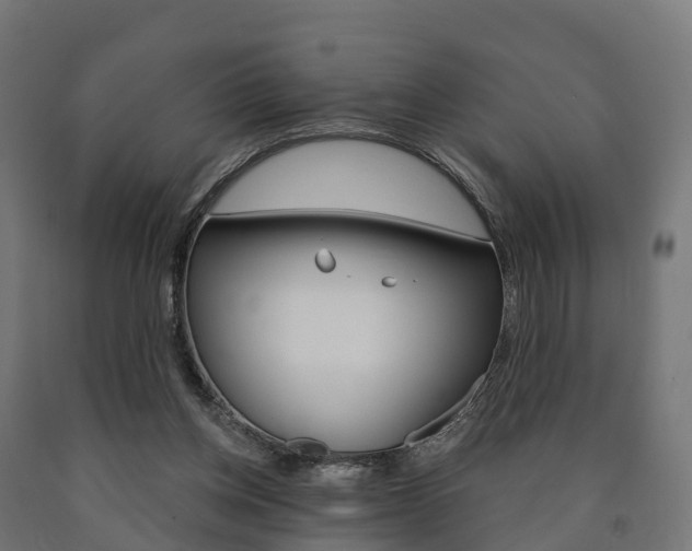 X0000091000158200708021232