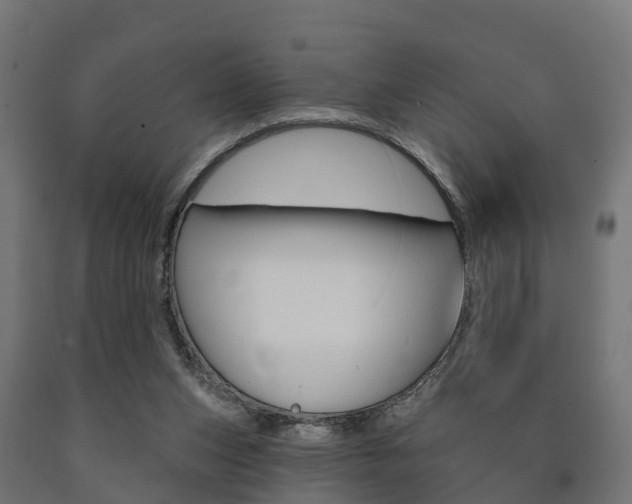 X0000091000159200708021232