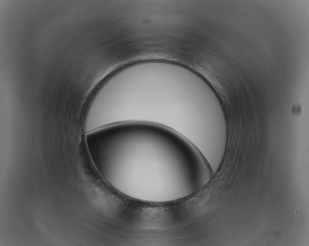 X0000091000160200708021232