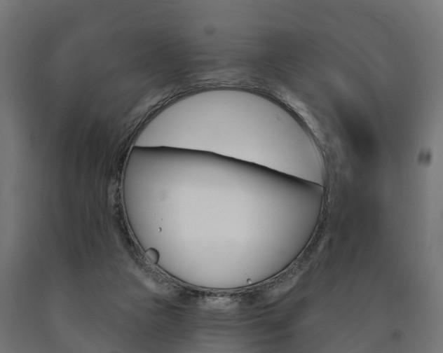 X0000091000161200708021232