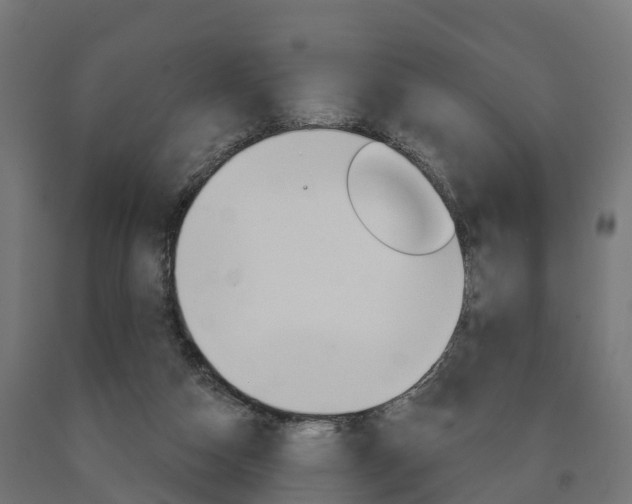 X0000091000162200708021232