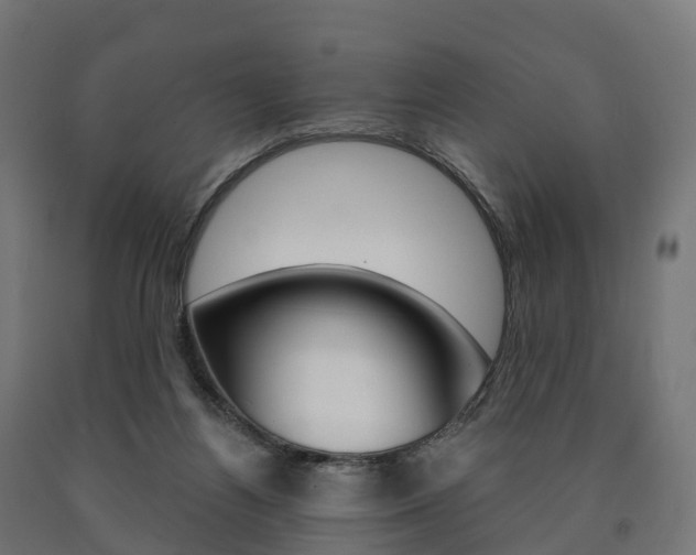 X0000091000164200708021232