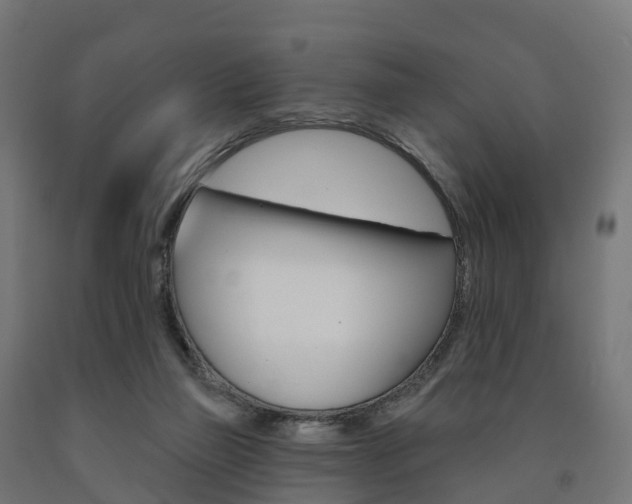X0000091000165200708021232