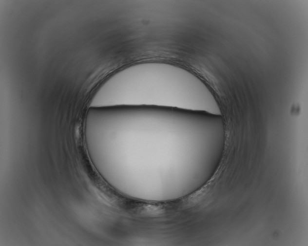 X0000091000166200708021232