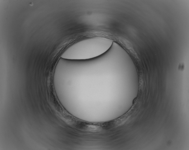 X0000091000167200708021232