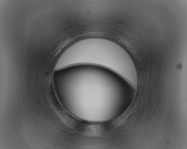 X0000091000168200708021232