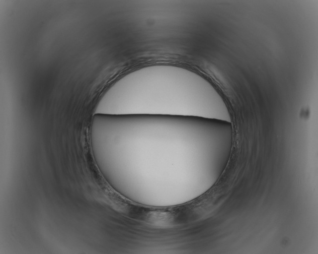 X0000091000169200708021232