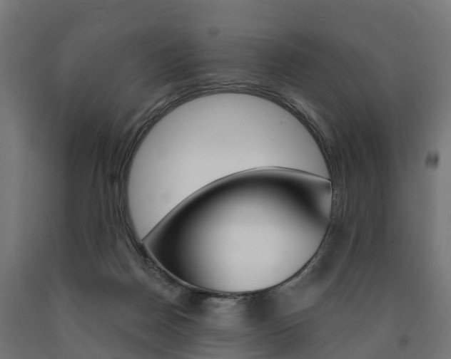 X0000091000170200708021232