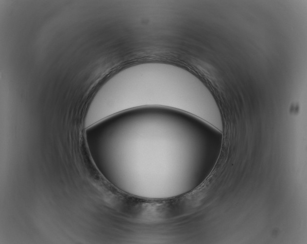 X0000091000172200708021233