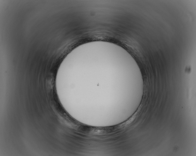 X0000091000174200708021233