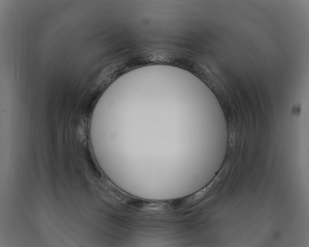 X0000091000175200708021233