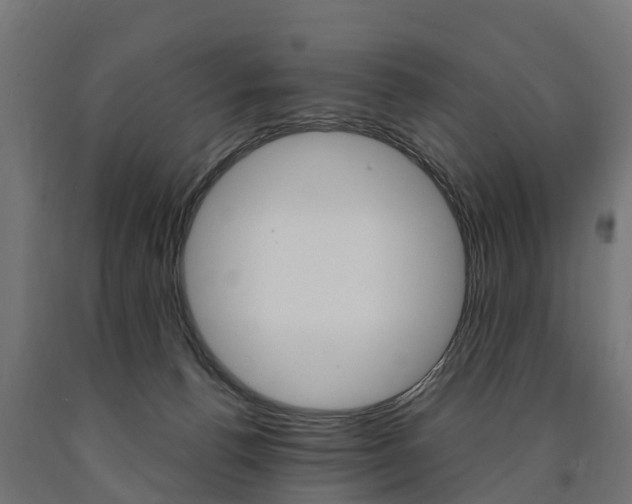 X0000091000176200708021233