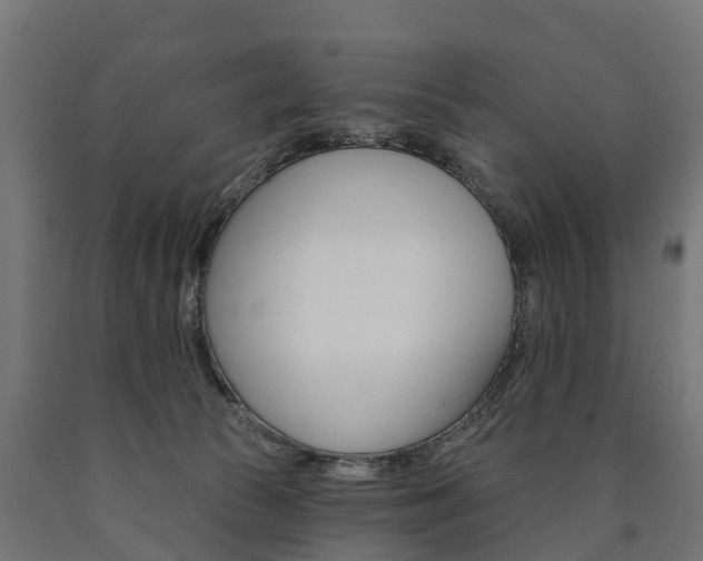 X0000091000177200708021233