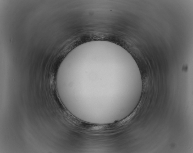 X0000091000178200708021233