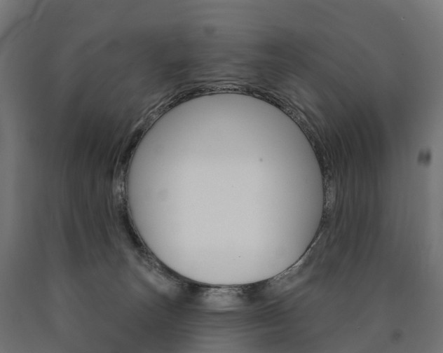 X0000091000179200708021233