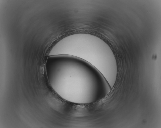 X0000091000180200708021233