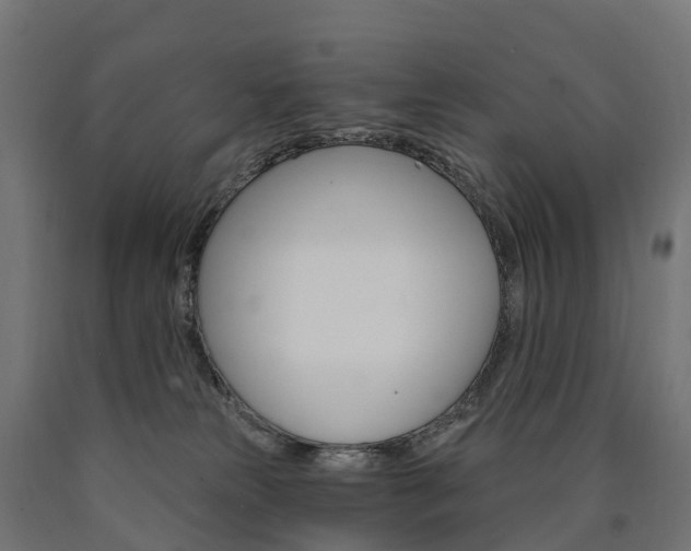 X0000091000181200708021233