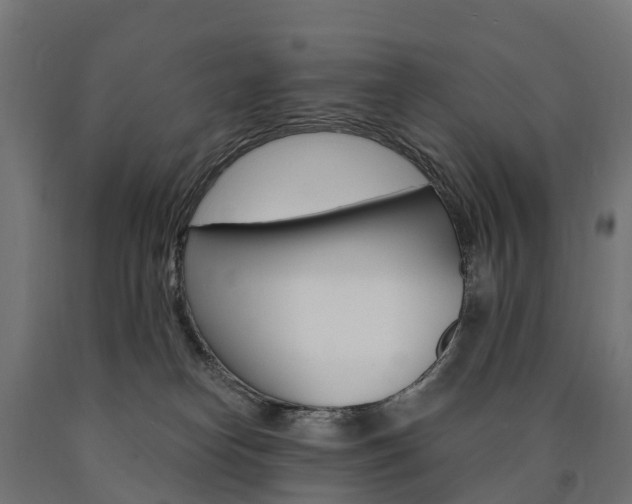 X0000091000182200708021233