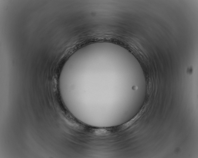 X0000091000183200708021233