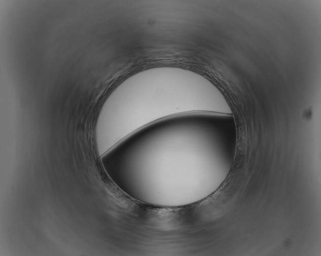 X0000091000184200708021233