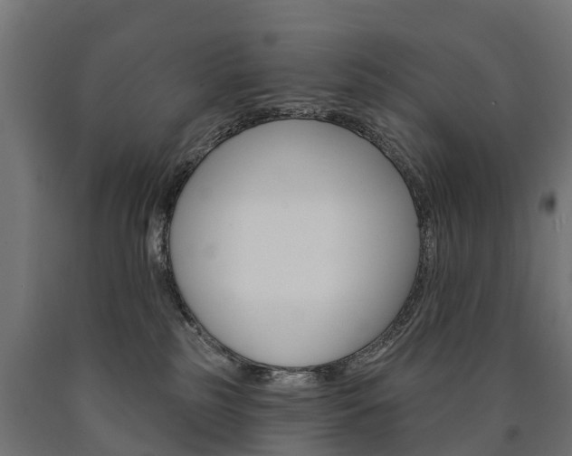 X0000091000185200708021233