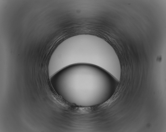 X0000091000188200708021233