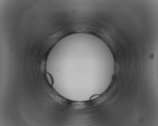 X0000091000189200708021233
