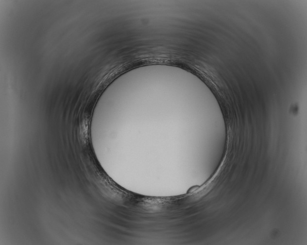 X0000091000190200708021233