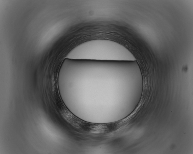 X0000091000191200708021233