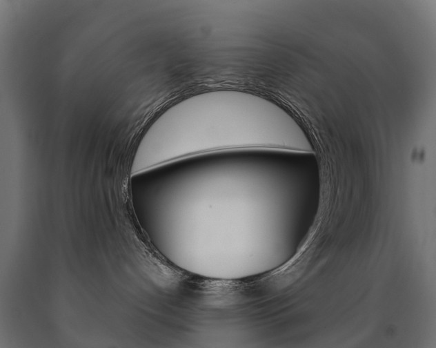 X0000091000192200708021233