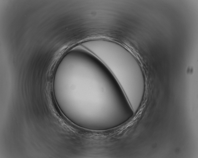 X0000091000193200708021232