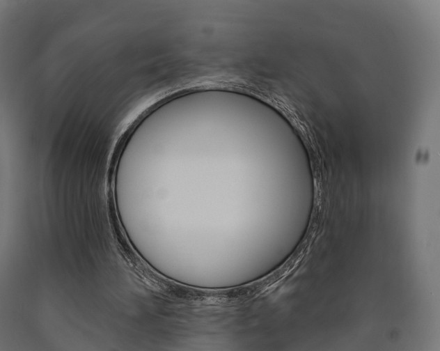 X0000091000196200708021232