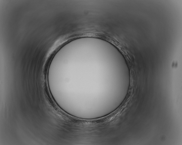 X0000091000198200708021232