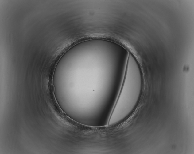 X0000091000201200708021232