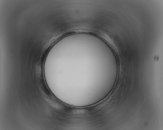X0000091000202200708021232