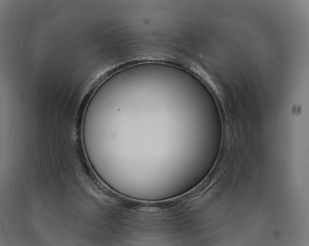 X0000091000203200708021232