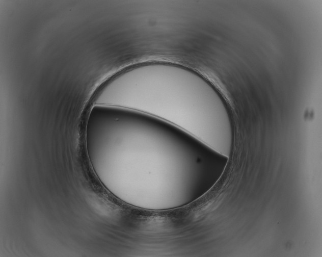 X0000091000204200708021232