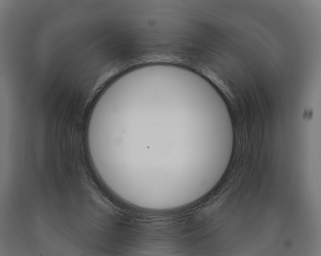 X0000091000207200708021232