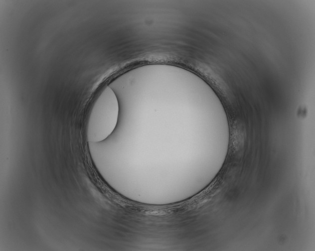 X0000091000208200708021232